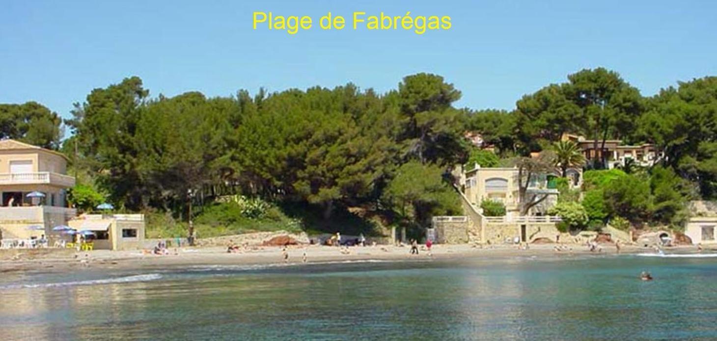 Chambre Et Salle De Bain Independantes A 200M De La Plage De Fabregas La Seyne-sur-Mer Zewnętrze zdjęcie